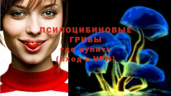 гашик Абинск