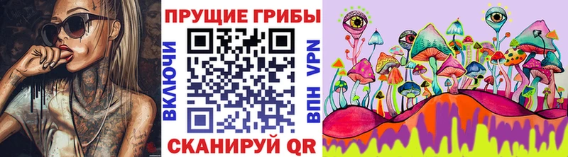 Галлюциногенные грибы ЛСД  это как зайти  Железноводск 
